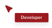 In-App Developer
