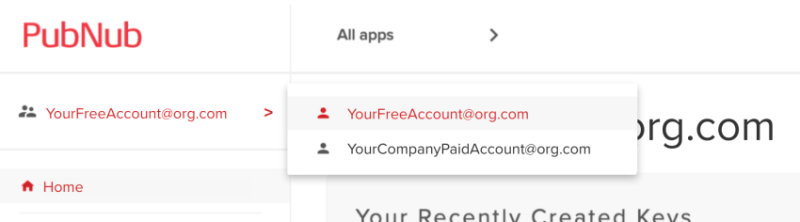 FAQ Insights Image Dropdown menu on PubNub website showing a selection between a free and a company paid account.
