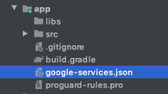 Android Kotlin Push Notifications Google Services File Location Project directory structure in an Integrated Development Environment showing various configuration files such as build.gradle and google-services.json.