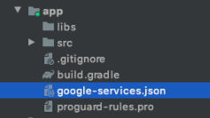 Project directory structure in an Integrated Development Environment showing various configuration files such as build.gradle and google-services.json.