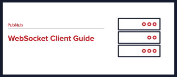WebSocket Client Guide