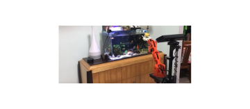 How to Build a Robot to Feed Your Fish (and other things)