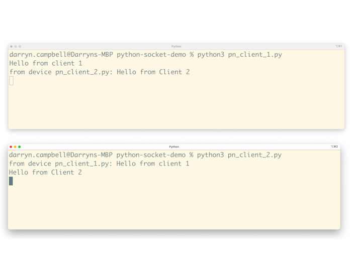 Python Socket Programming: Server-Client Connection | PubNub