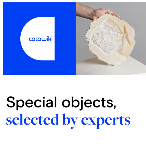 Catawiki Hosts Global Online Auctions