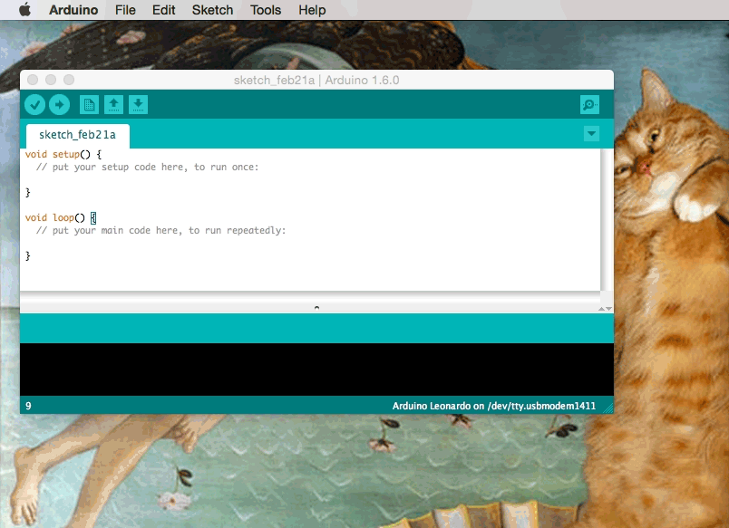 setting up Arduino at Heart