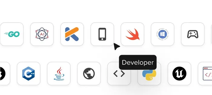 Developer Ecosystems