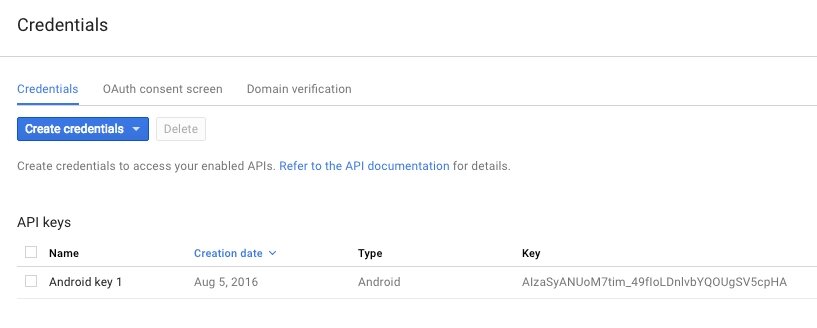 Google Api Credentials