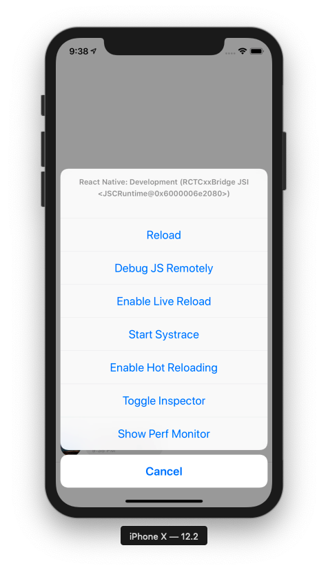 React Native Debugger Screenshot iOS Simulator