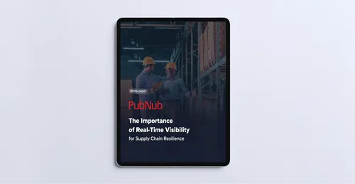 Real-Time Visibility and Supply Chain Resilience