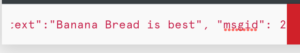 Image of text input showing {"text": "Banana bread is the best", "msgid": 2}